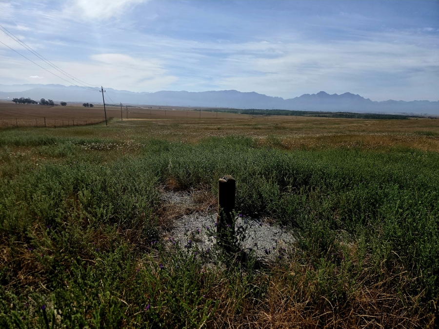 Commercial Property for Sale in Riebeek Kasteel Western Cape